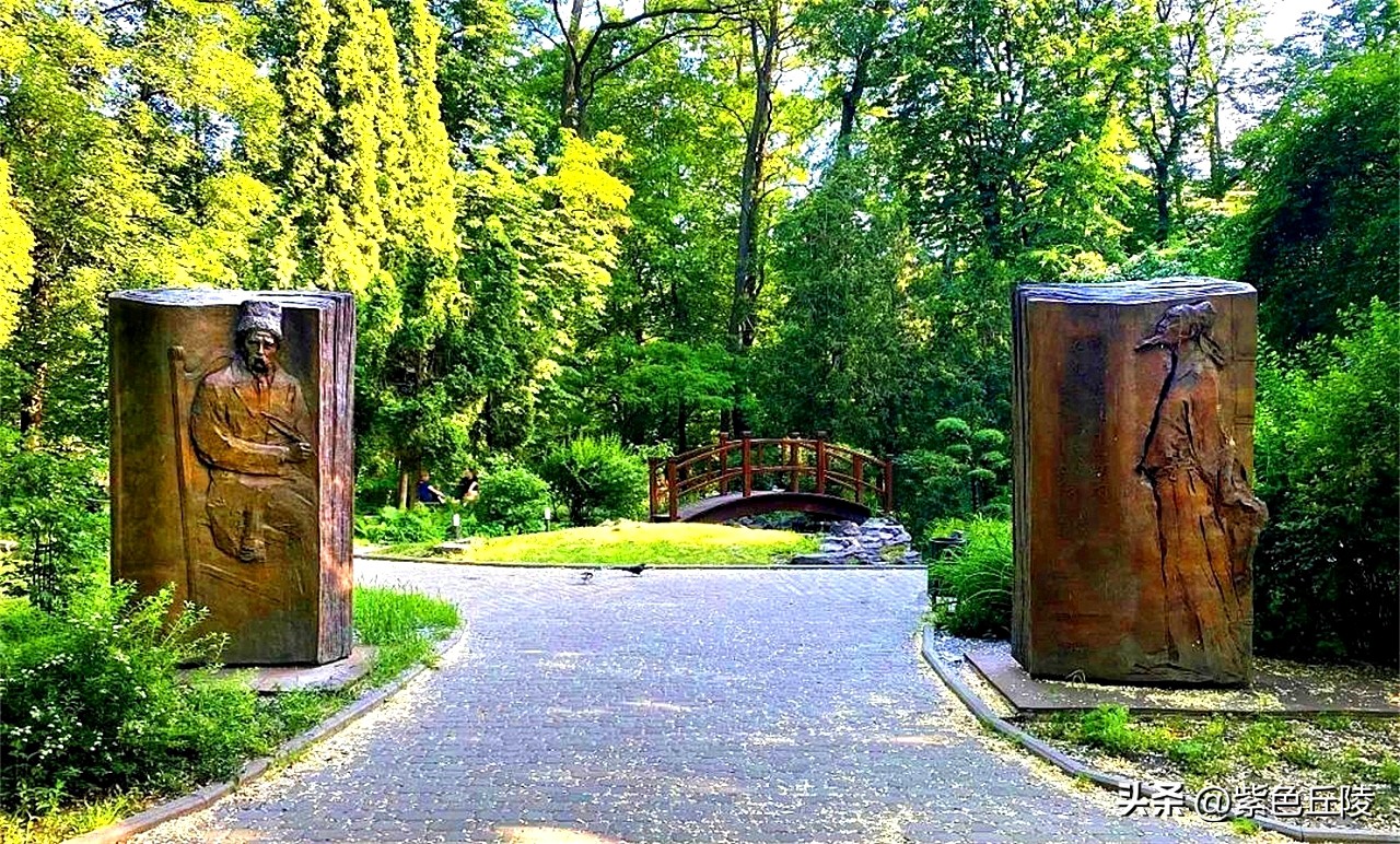 乌克兰人如何看待中乌关系,中乌关系最新消息