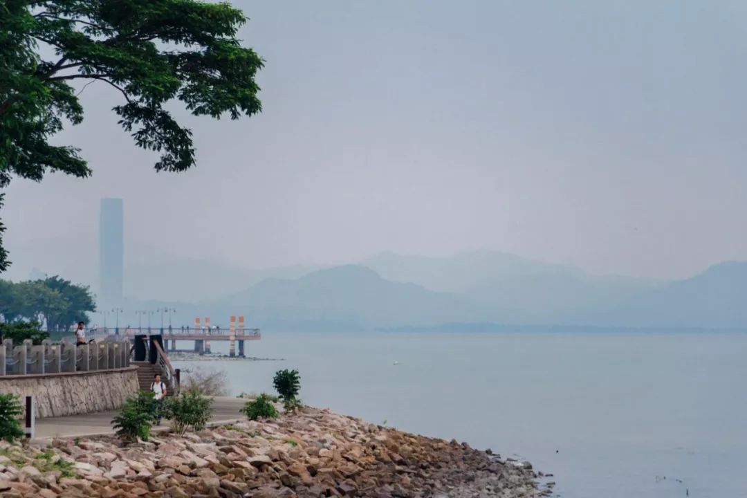 深圳十条景美徒步路线推荐,深圳水库徒步路线图