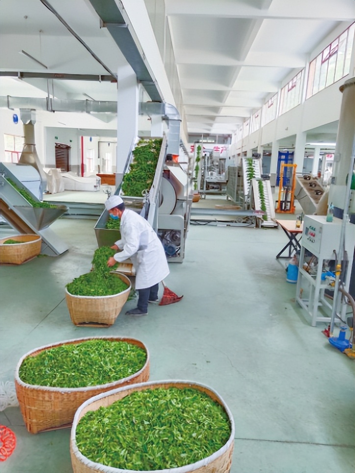 恩施硒茶品牌整合,恩施硒茶功效与作用