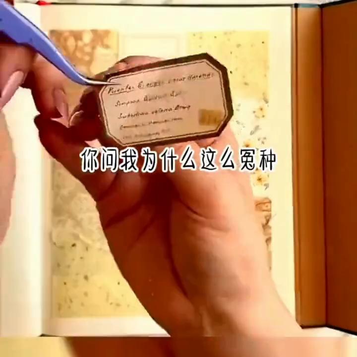 📖:良知临了#艾特你想艾特的人