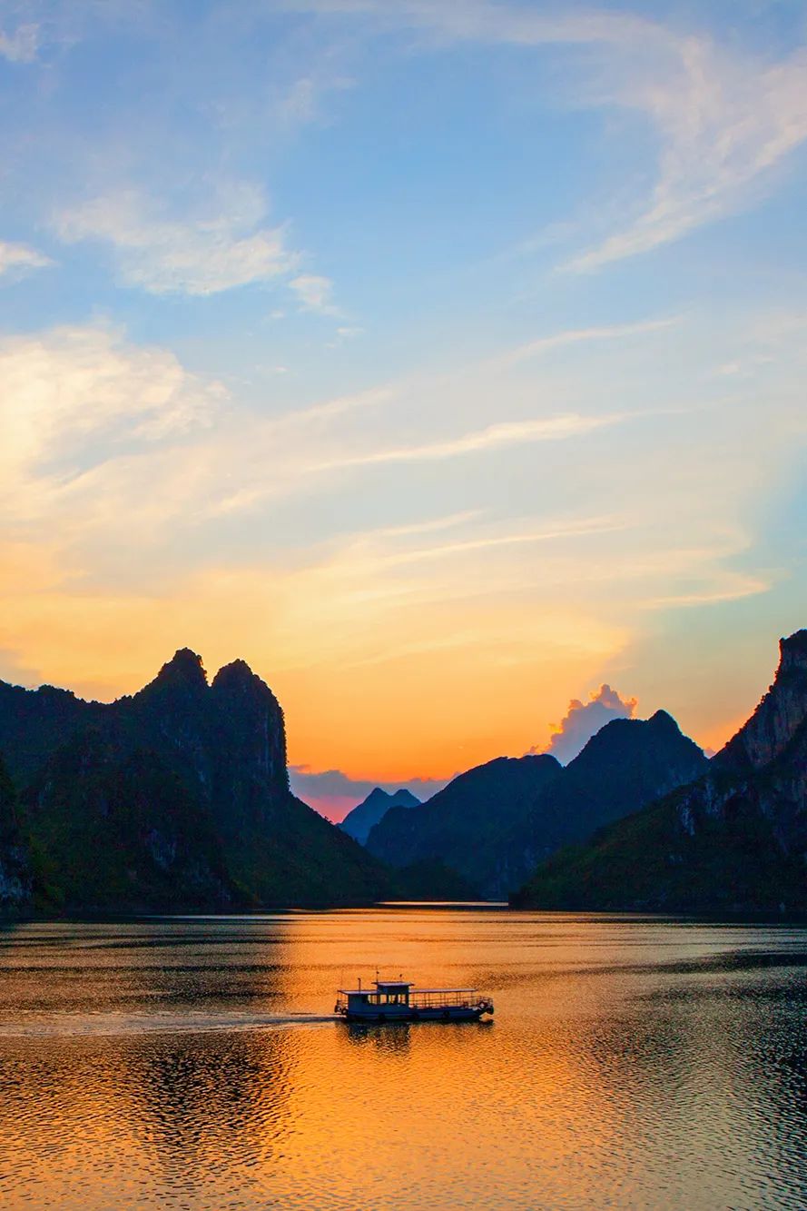 猫咪走太空步原视频最火,猫咪壁虎漫步视频