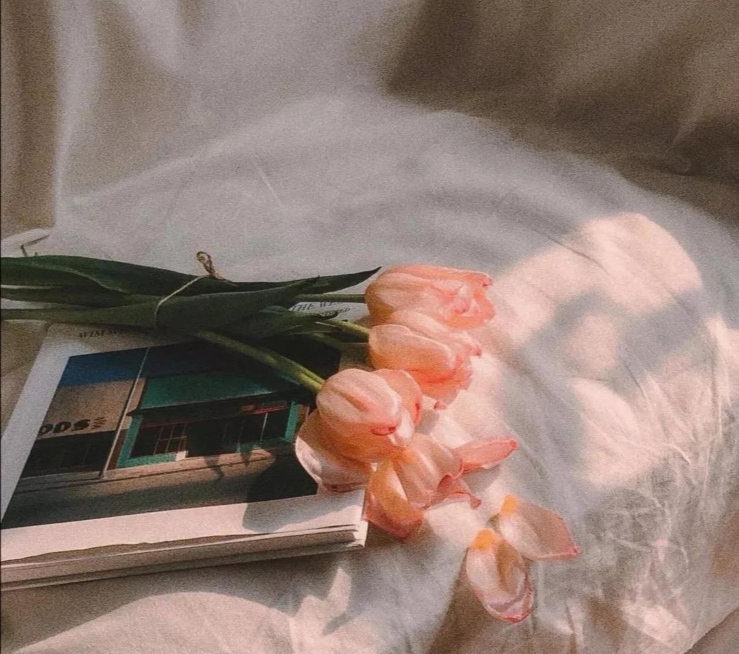 凤凰男面对原生家庭的无度索取,凤凰男把自己的原生家庭放在首位