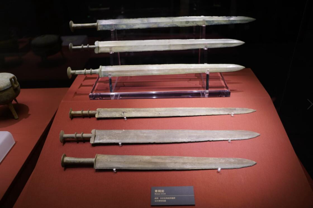 所有动物都会进化,所有的动物都进化吗