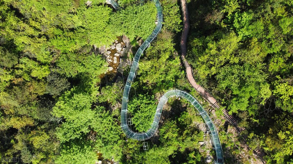 安吉旅游攻略必去景点排名,安吉旅游必去的景点一日游攻略