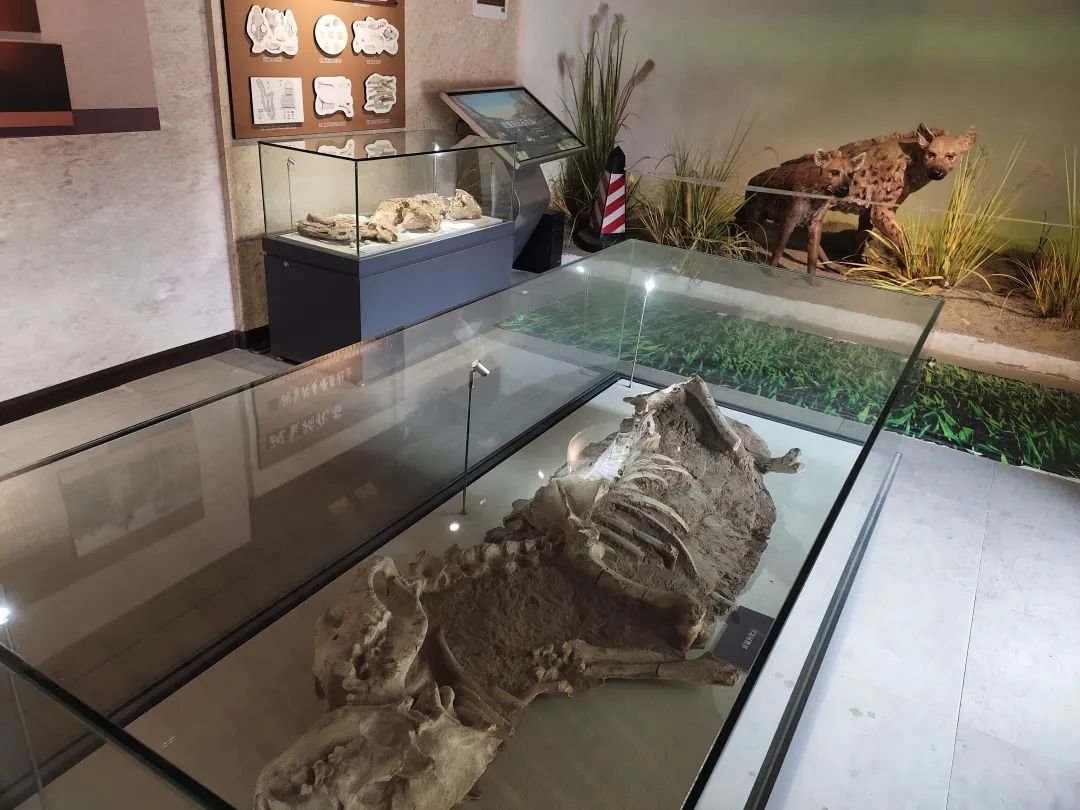 秦皇岛九龙口瀑布,秦皇岛绝美大瀑布