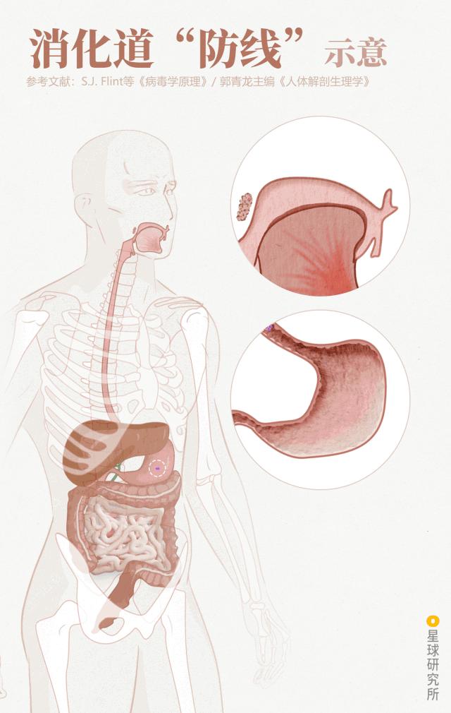致与病毒搏斗的你！