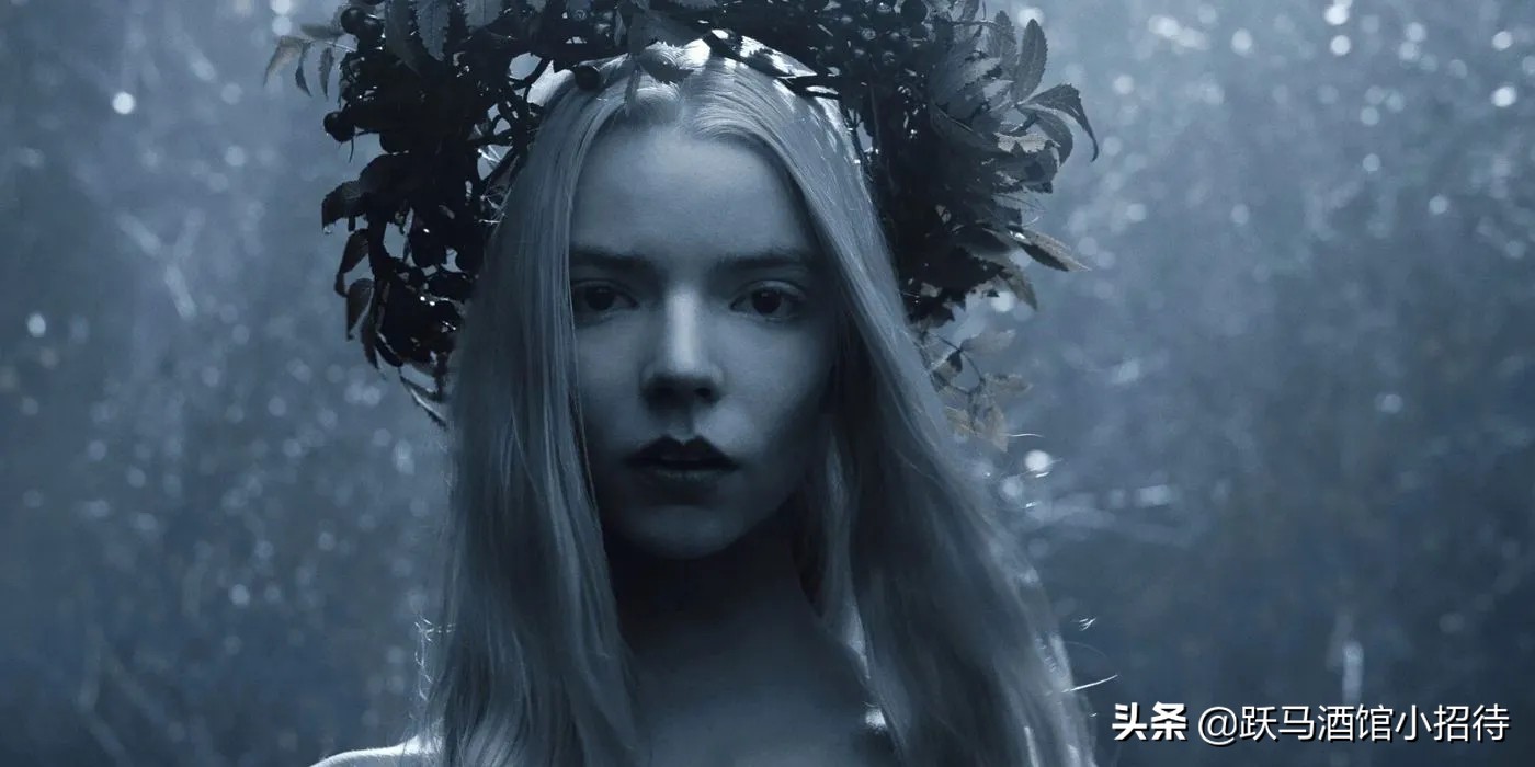 北欧人剧情解析,北欧人维京传奇结局