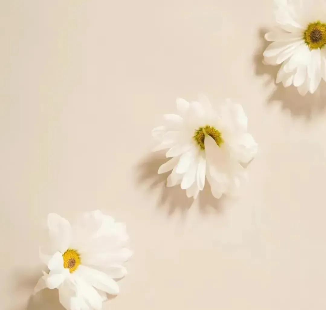 我的妈妈是豪门保姆39集,我的妈妈是位豪门保姆30