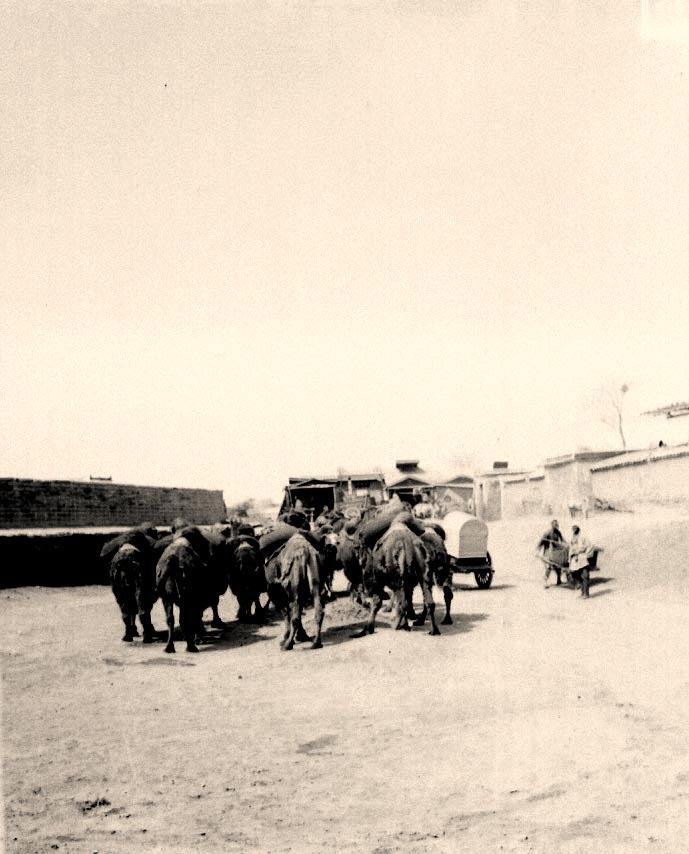 日寇犯下的暴行,侵华日军杀戮暴行