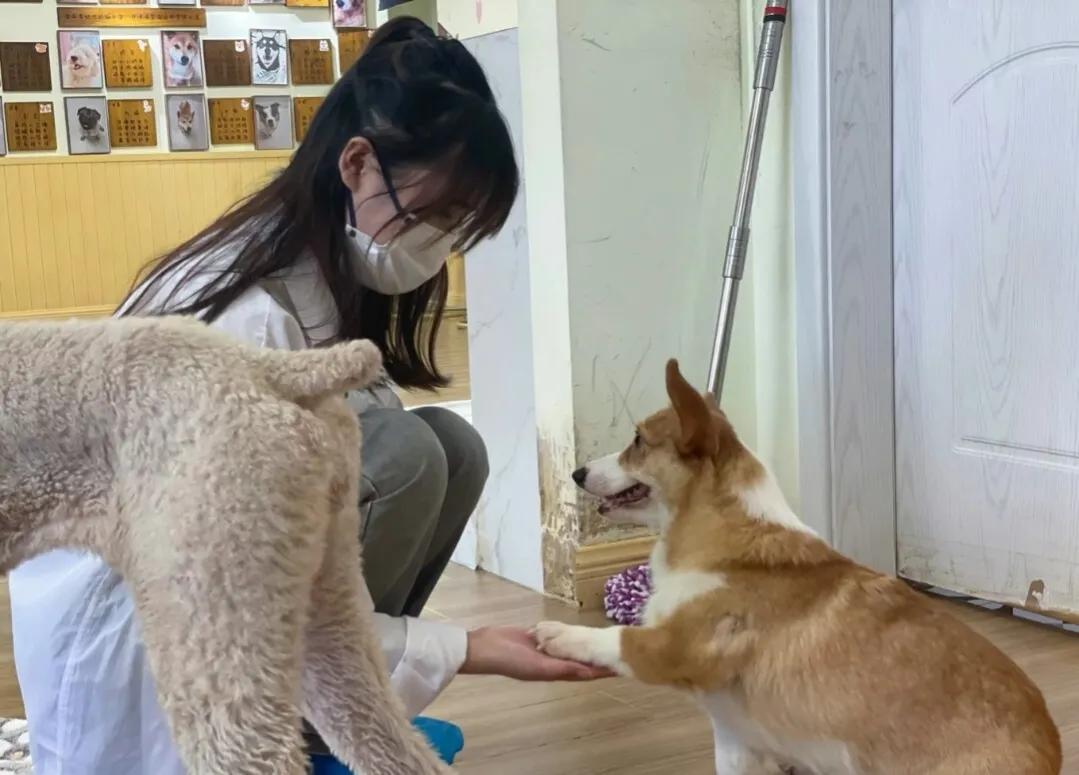 我爸去县城拔智齿，结果没弄好，回来疼的睡不着，医生直呼心疼