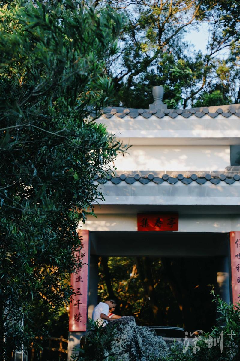 深圳湾公园最佳观景时间,深圳湾公园深圳市南山区最美公园