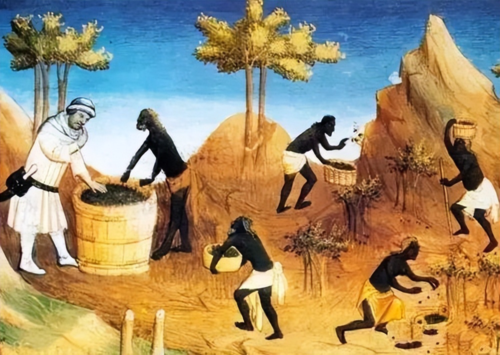 从历史的角度看：中国古代香料的贸易发展史。