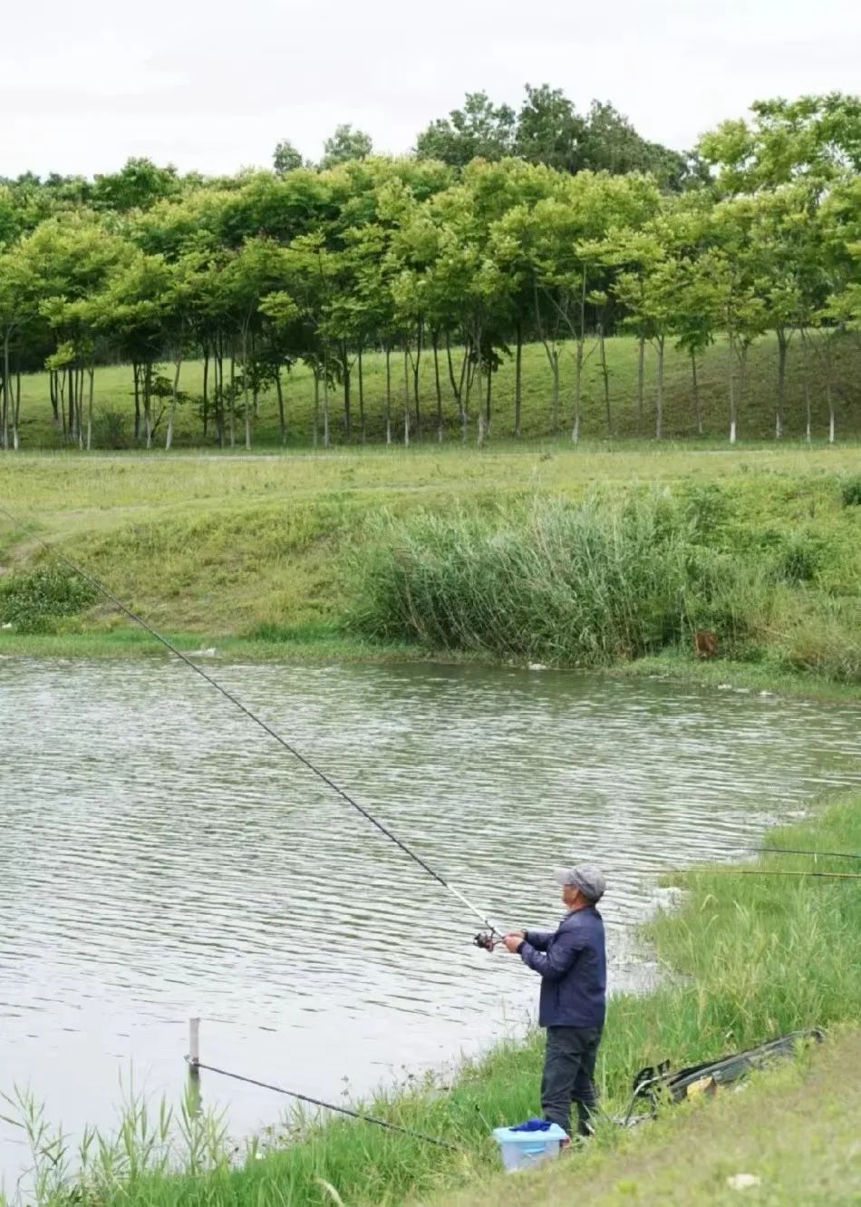 成都免费露营地推荐过夜,成都周边露营地推荐自驾
