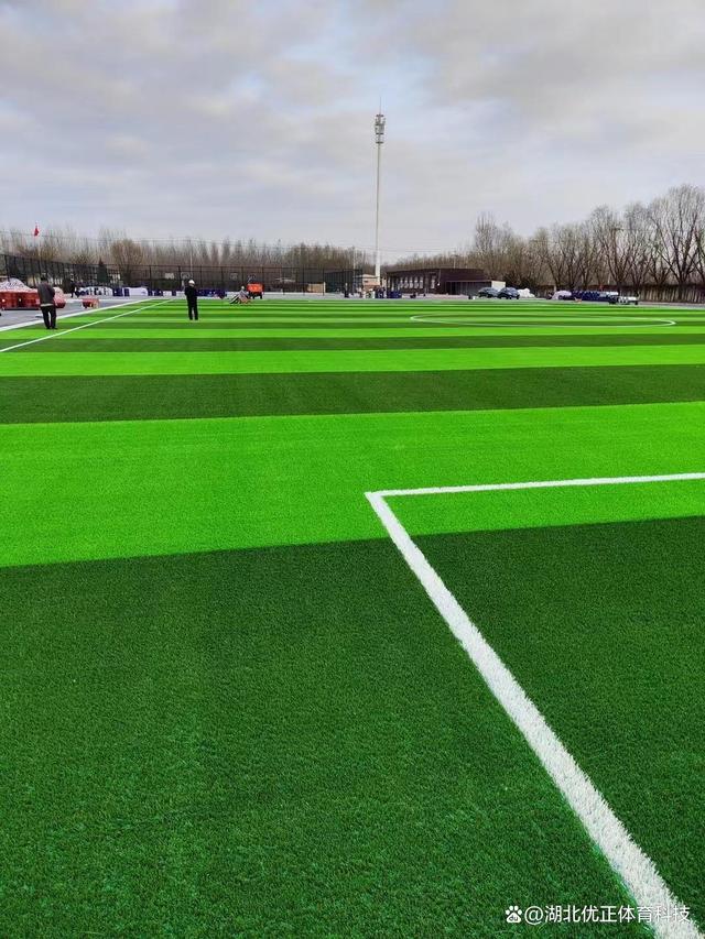 人工草皮寿命多少年,人工草皮多少钱一平