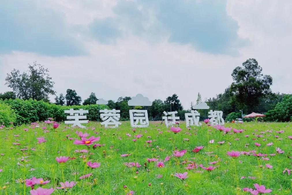 成都地标建筑及网红打卡景观,成都新打卡网红地