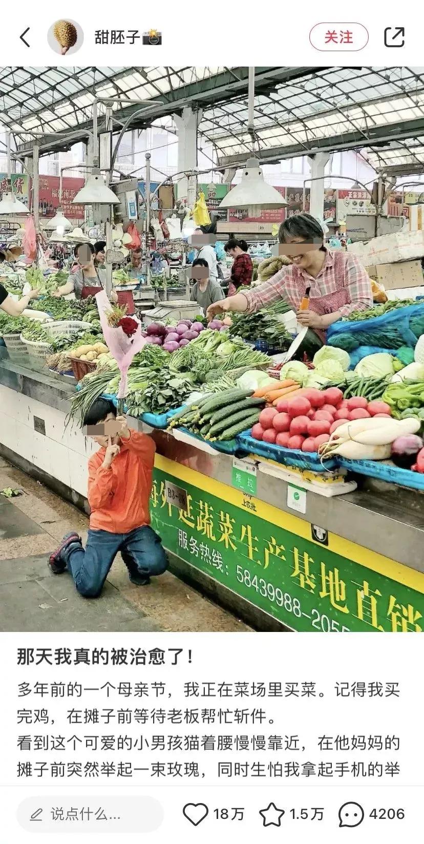 普通生活人的生活,过普通人的生活句子