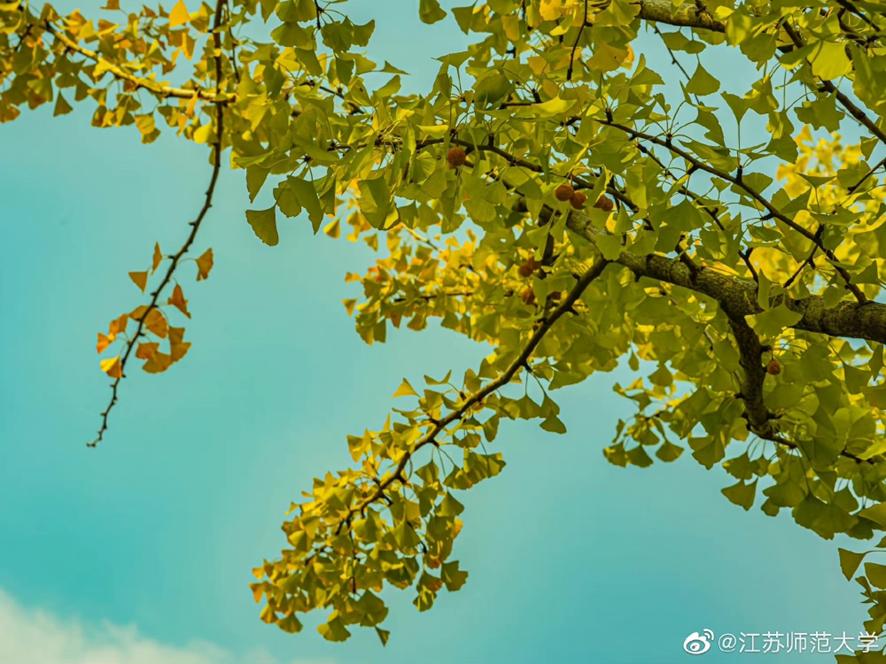 新传专业容易考研上岸学校,考研过国家线就可以录取的院校