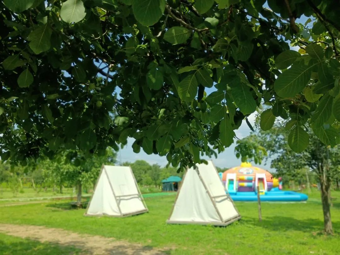 绿野仙踪乐园旅游攻略,北京绿野仙踪郊野乐园旅游攻略