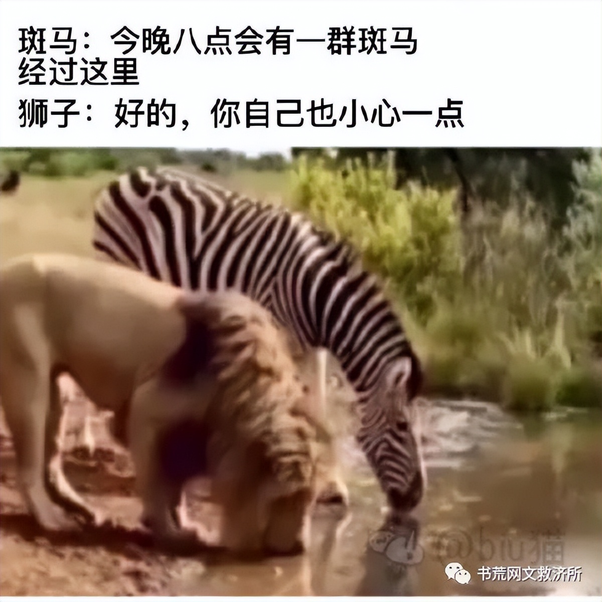 媒体足协对国脚纹身早有禁令,足协会禁止纹身吗