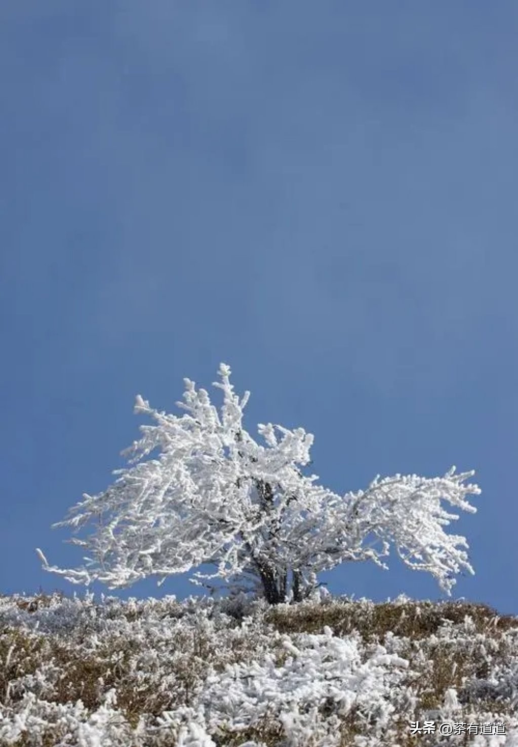 川藏南线茶马古道,四川荥经茶马古道路线图