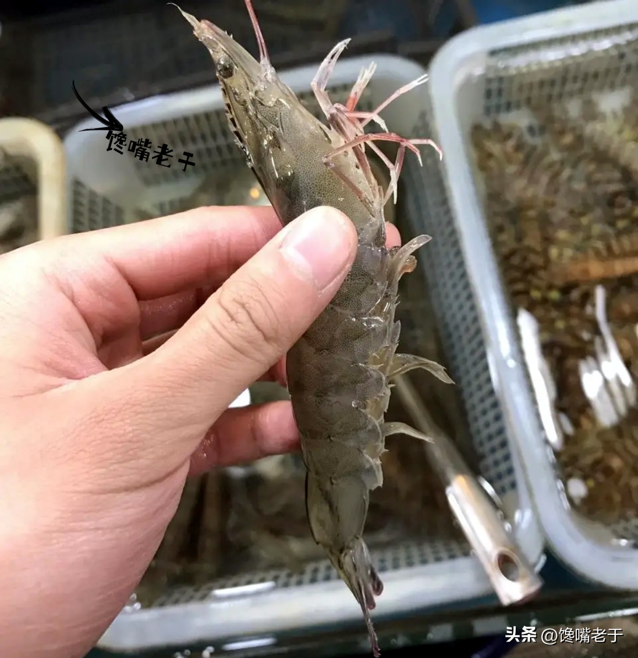 买虾不可以挑大小吗,买虾怎么挑选最好