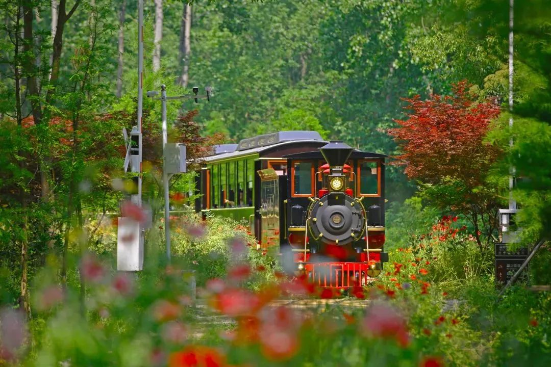 鍚堣偉娣卞鎵撳崱娓哥帺,鍚堣偉涓夋渤鍙ら晣澶滆壊