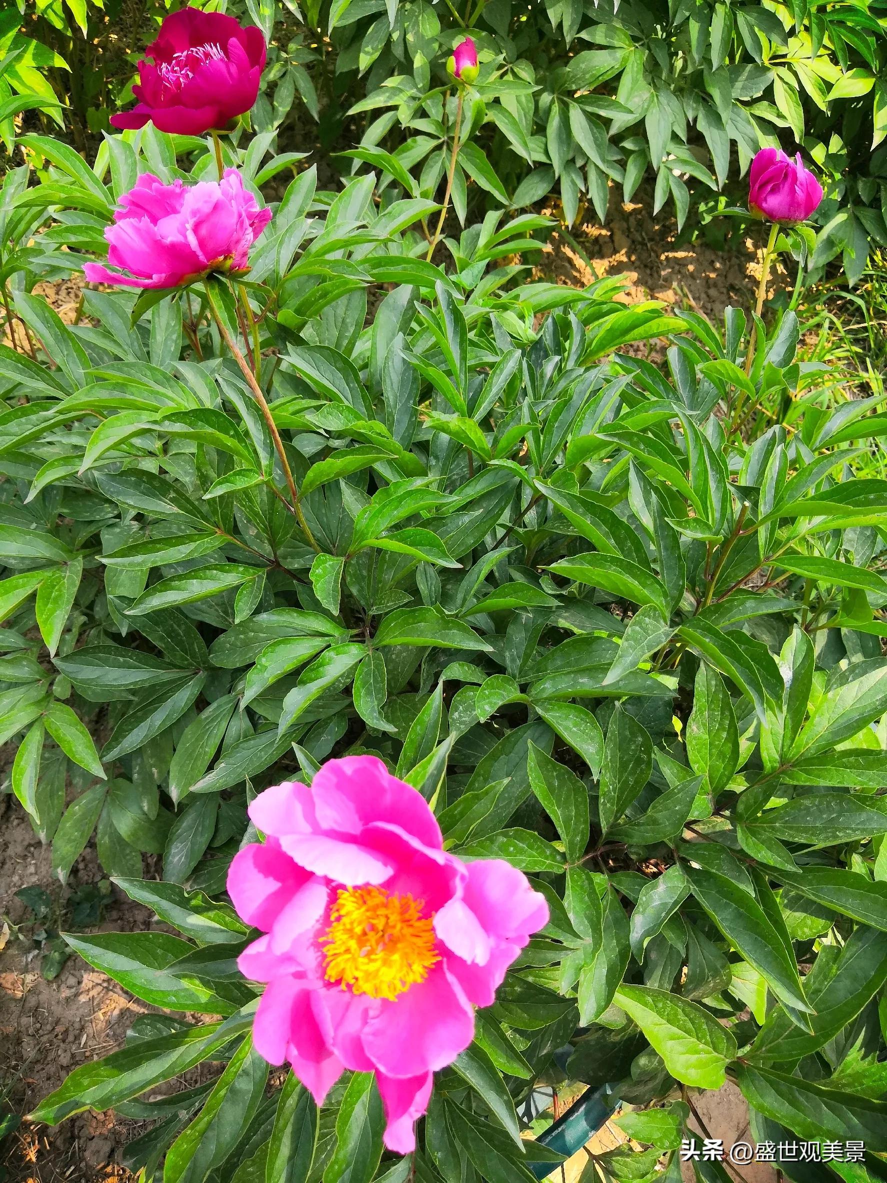 怎样找到头条的流量密码,头条原创文章怎么加推荐量