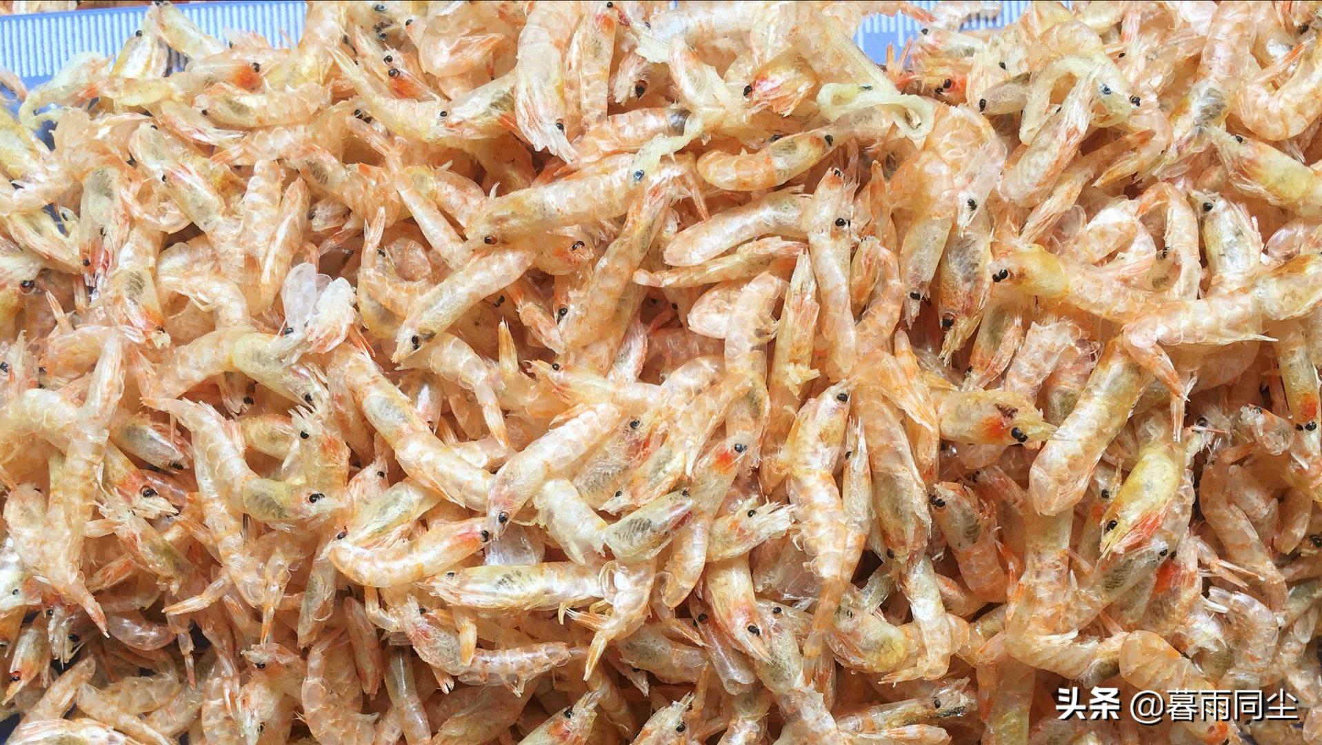 罐头压缩干粮,罐头压缩饼干救灾