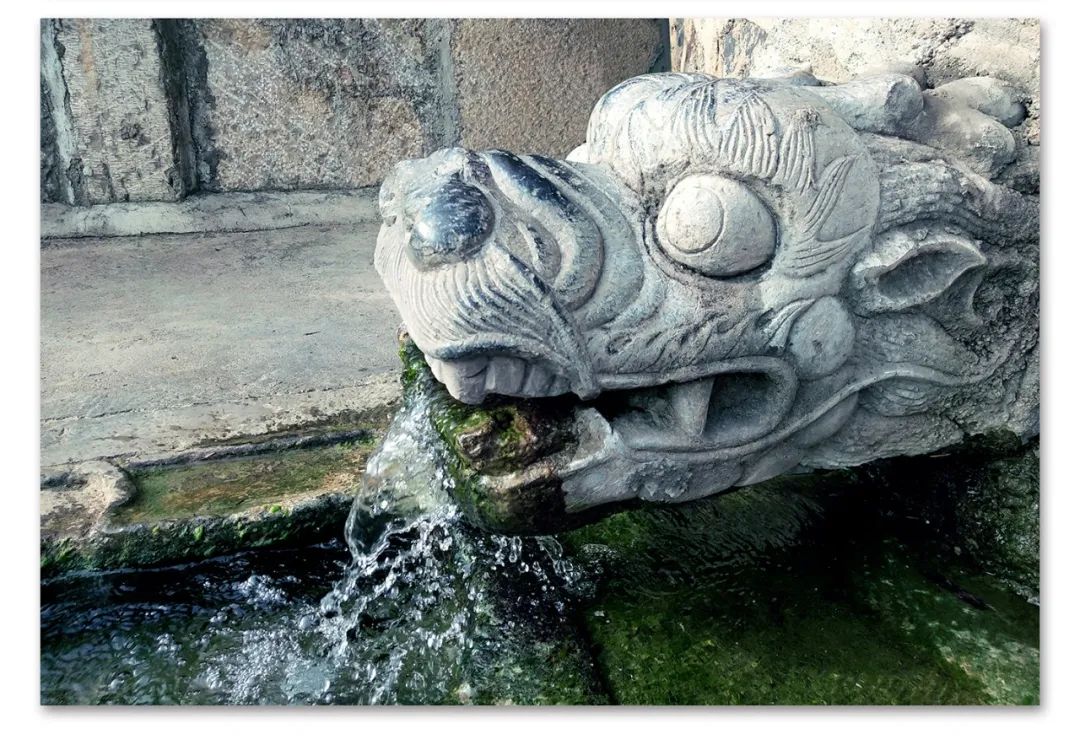 杜康原窖与酒祖杜康的区别,杜康发展史