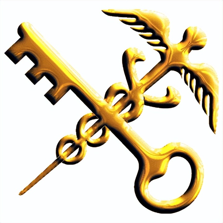 海关关衔图解,海关使用一年期关衔标志