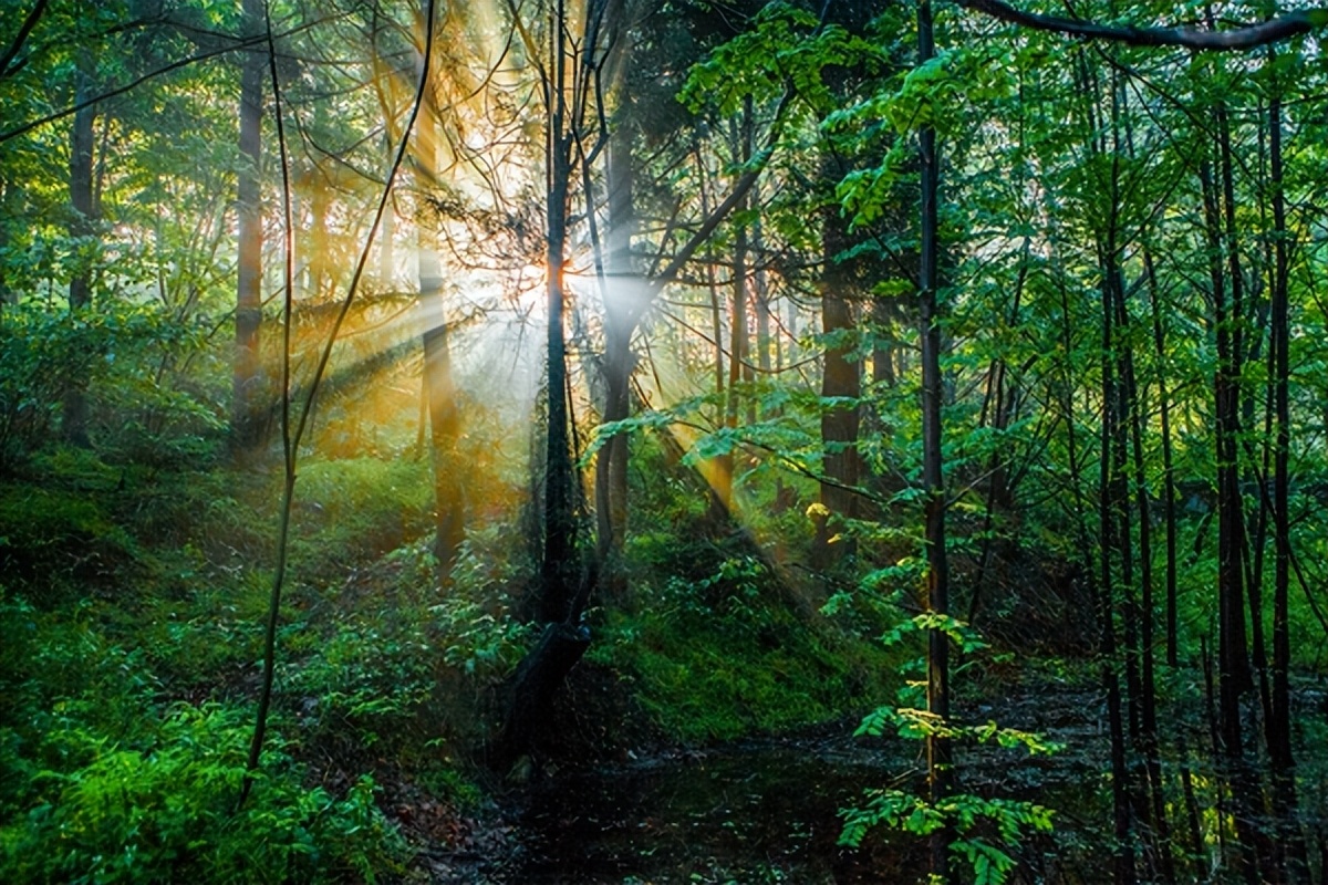 河南5a级风景区排名漂流,河南15个5a级风景区排名