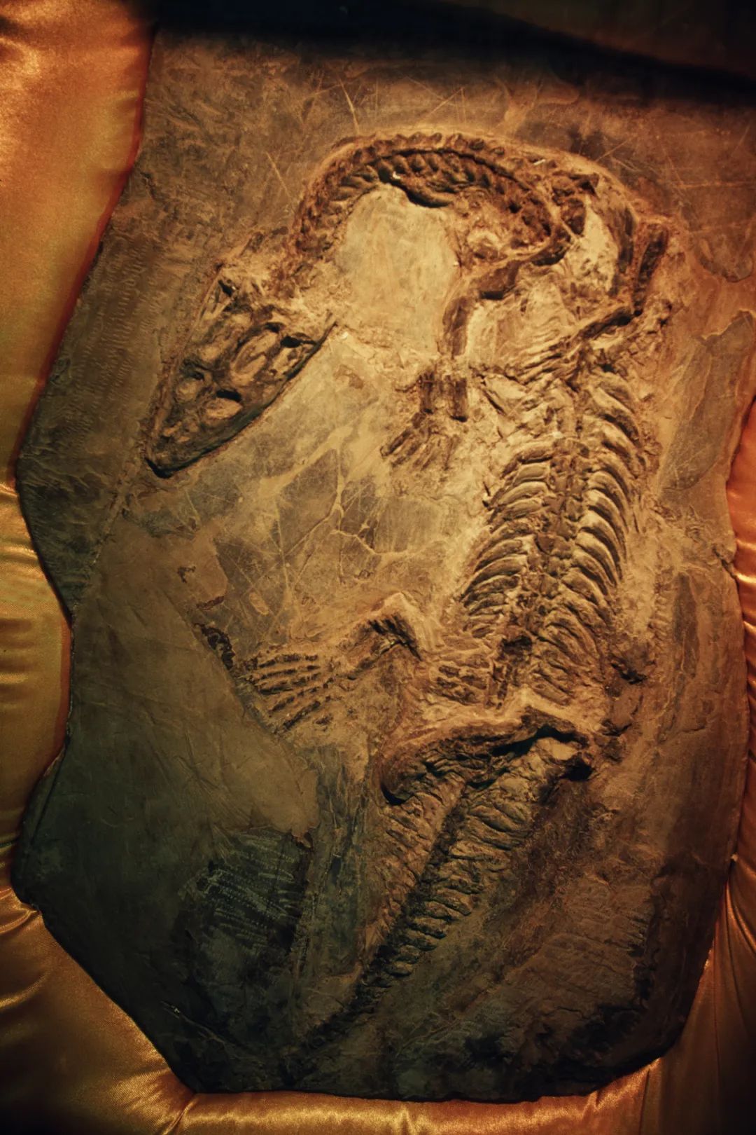 如何看懂中国第一山地省的多彩文化史诗？