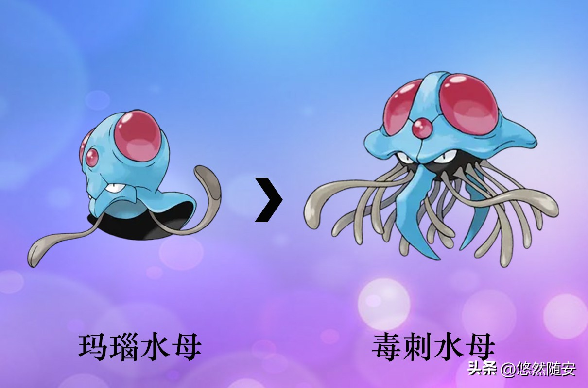 宝可梦所有御三家进化形态,宝可梦小火狐进化形态