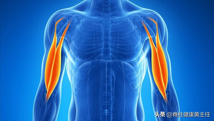 肩膀疼痛,为何按照检查结果来治疗,效果仍不好?原因在哪?