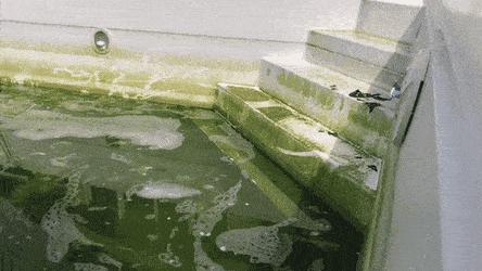 100个难得一见照片,难得一见12张照片