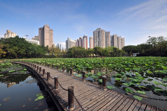 冬季深圳短途自驾一日游,广东深圳出发一日游必去景点推荐