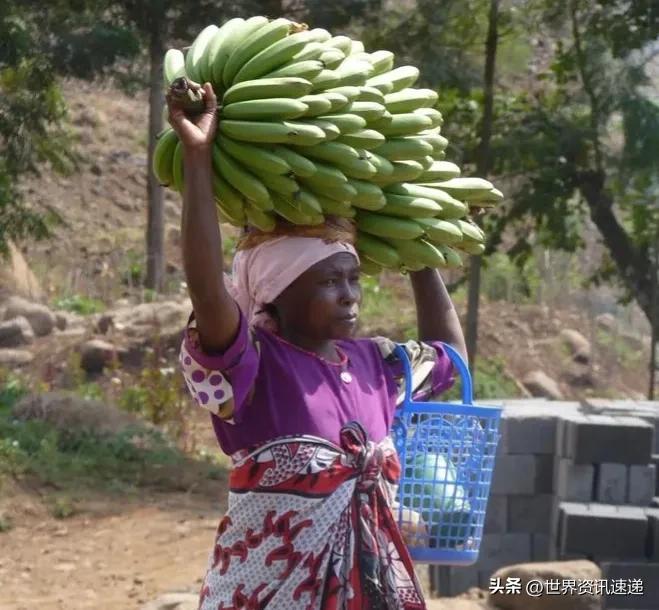 有辆自行车就是土豪，一把锄头就是彩礼：非洲国家布隆迪