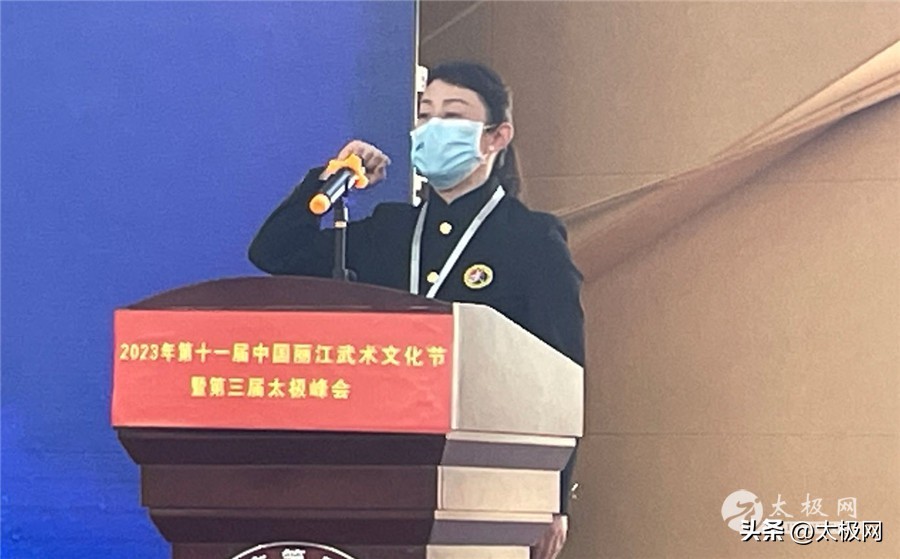 丽江国际武术节,2015年丽江国际武术文化节