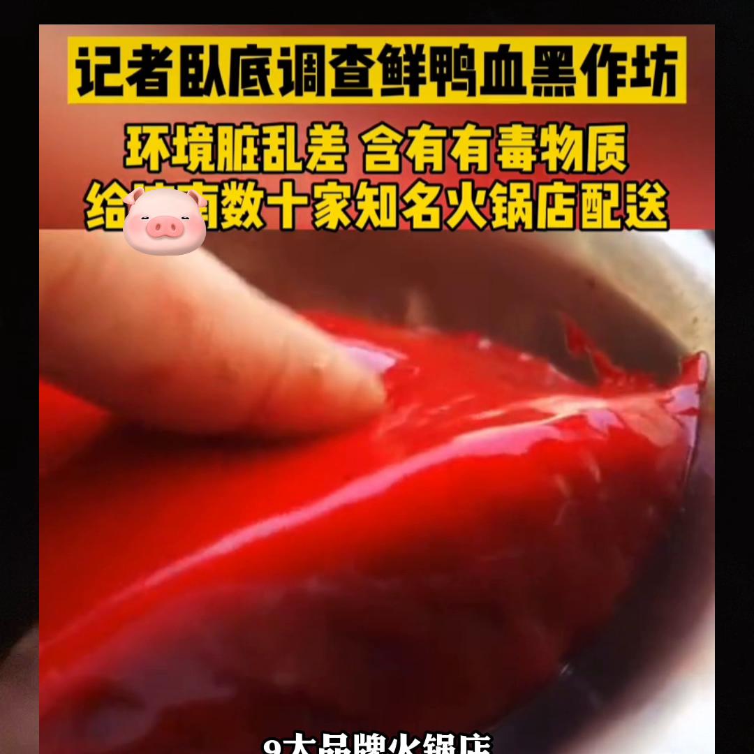 从有诚信的大渠道，买又好又贵的食材，每天给自己做一顿美...