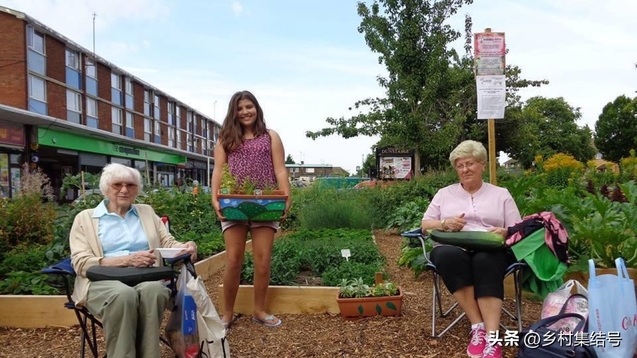 鎵樺痉鎽╃櫥,鑻卞浗鎵樺痉鎽╃櫥灏忛晣