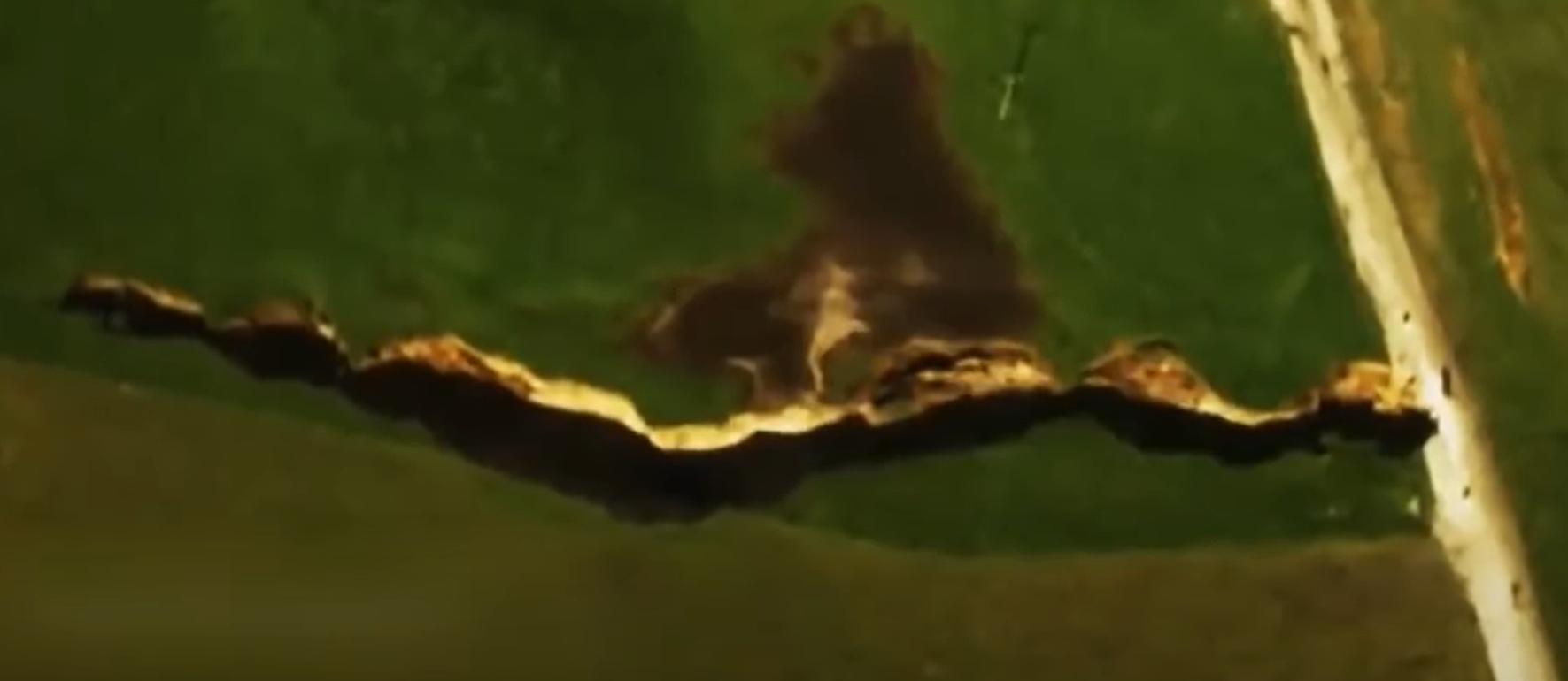 美国黄石公园超级火山,美国黄石公园超级火山2016