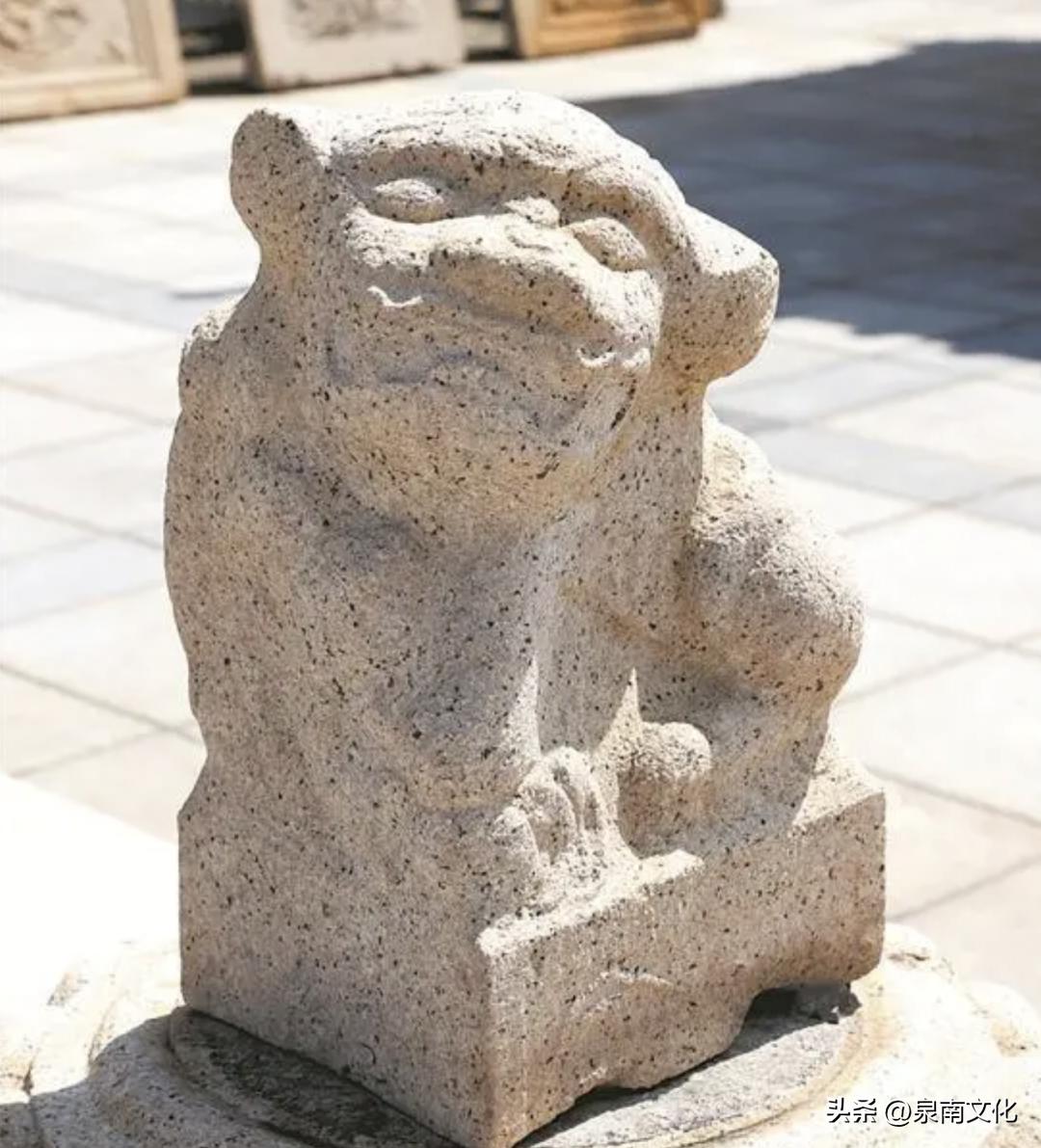 解析狮子语言,讲解狮子的视频