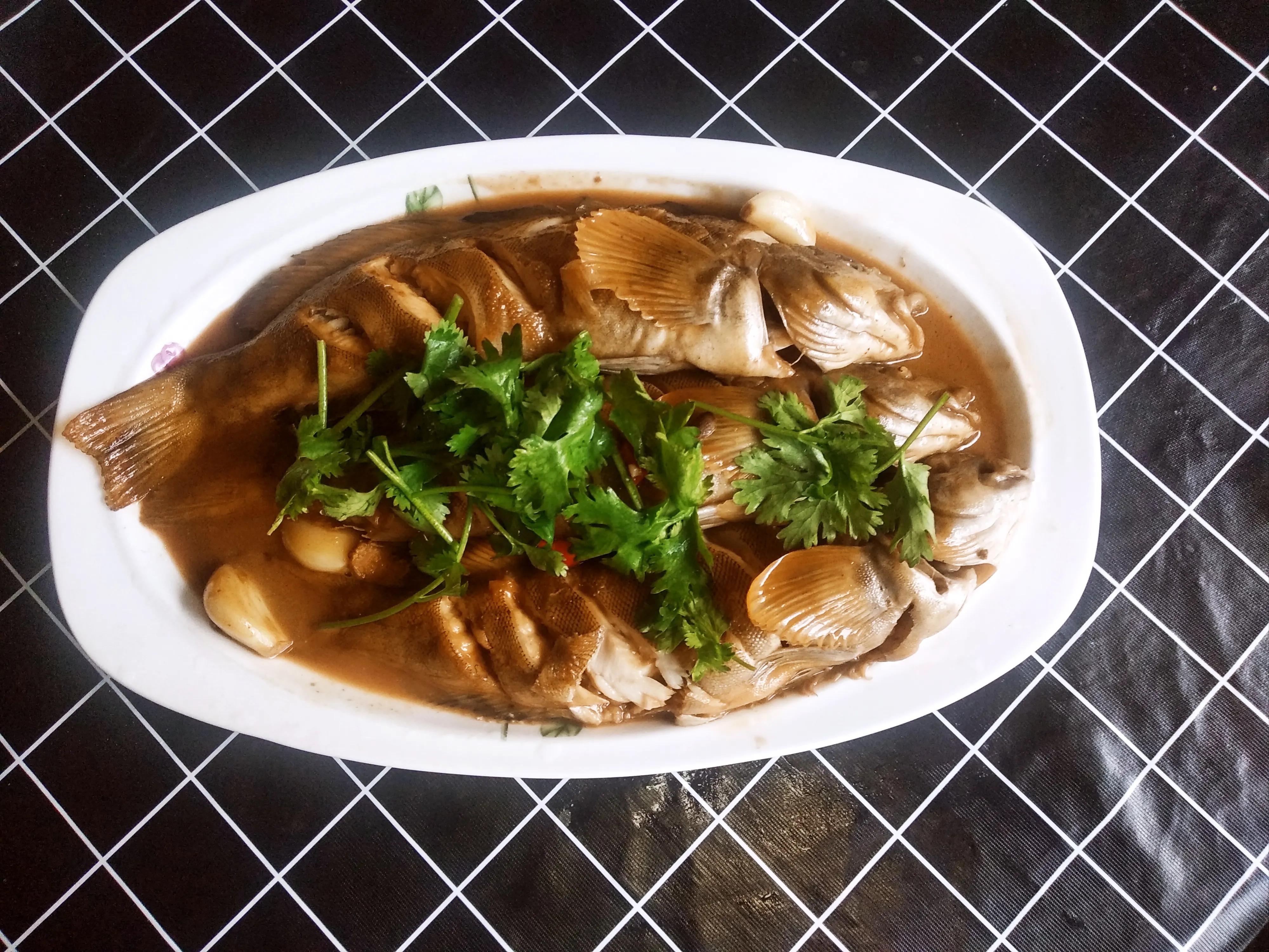 15种常见的海鱼,100种常见食用海鱼图谱