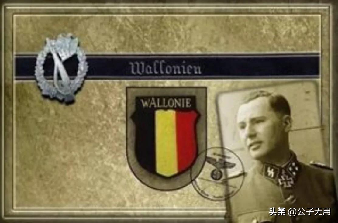 二战德国*党**卫军38个师：各师师徽标志，番号及编制简介（下篇）