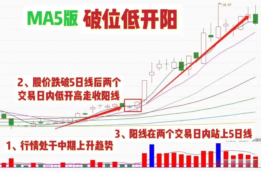 买股票只买便宜的,买股票只买不卖