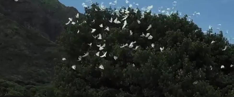 10部顶级特种部队高分电影,12部最猛特种兵电影太阳之泪