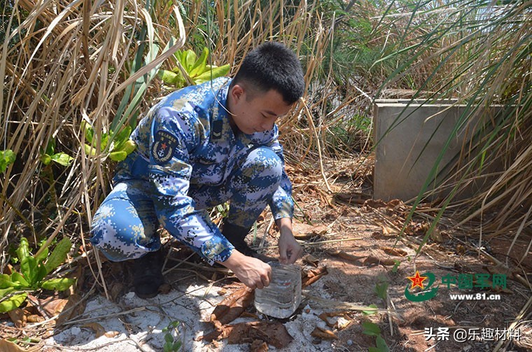 细微处看南沙东门岛，除了高楼大厦外，已开始形成完整的岛礁生态