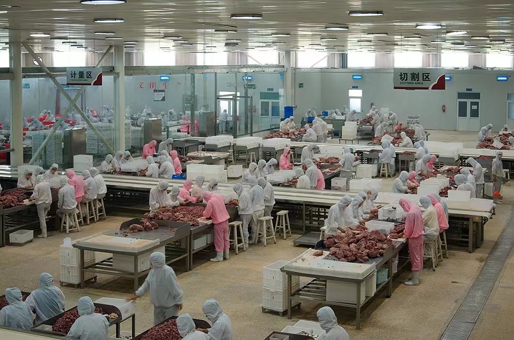 牛价已跌到谷底了吗,牛价格跌破成本线时间