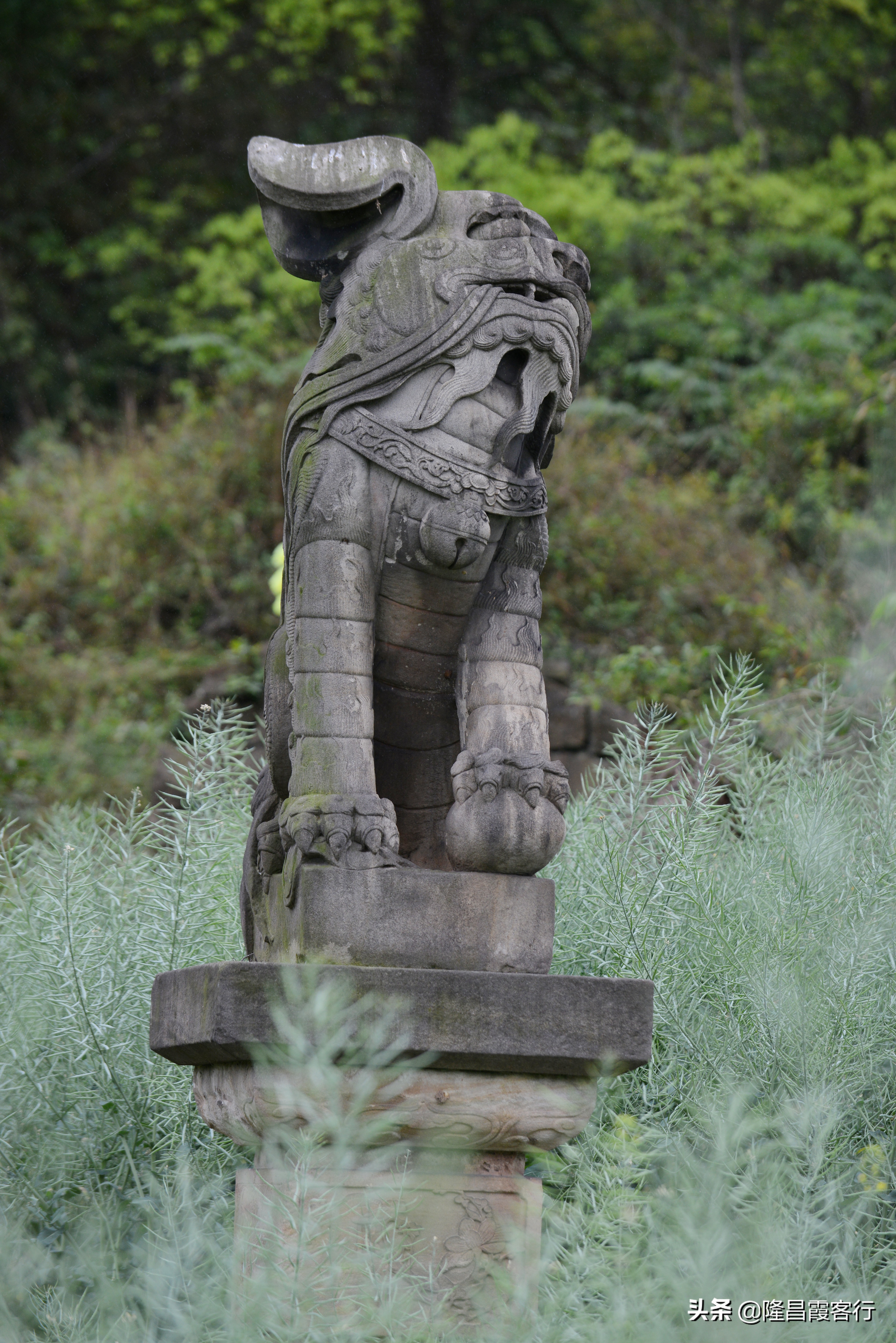 隆昌石燕桥古墓,隆昌石燕桥石狮子