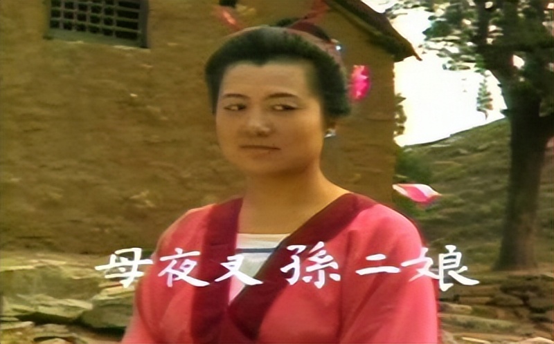 山东版水浒传和央视版哪个经典,山东版水浒武松